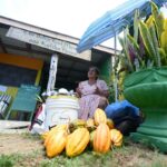 Schokoladenfestival von Belize 2019 1