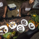 5 coisas imperdíveis no sul de Belize | 0