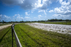 Célébrer Pâques au Belize | Burrell Boom Castleton Derby |  3