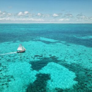 La barrière de corail du Belize retirée de la liste du patrimoine mondial en péril de l'UNESCO | 4