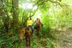 Vacances de printemps au Belize | Équitation