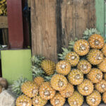 Alimentação sustentável em Belize 1