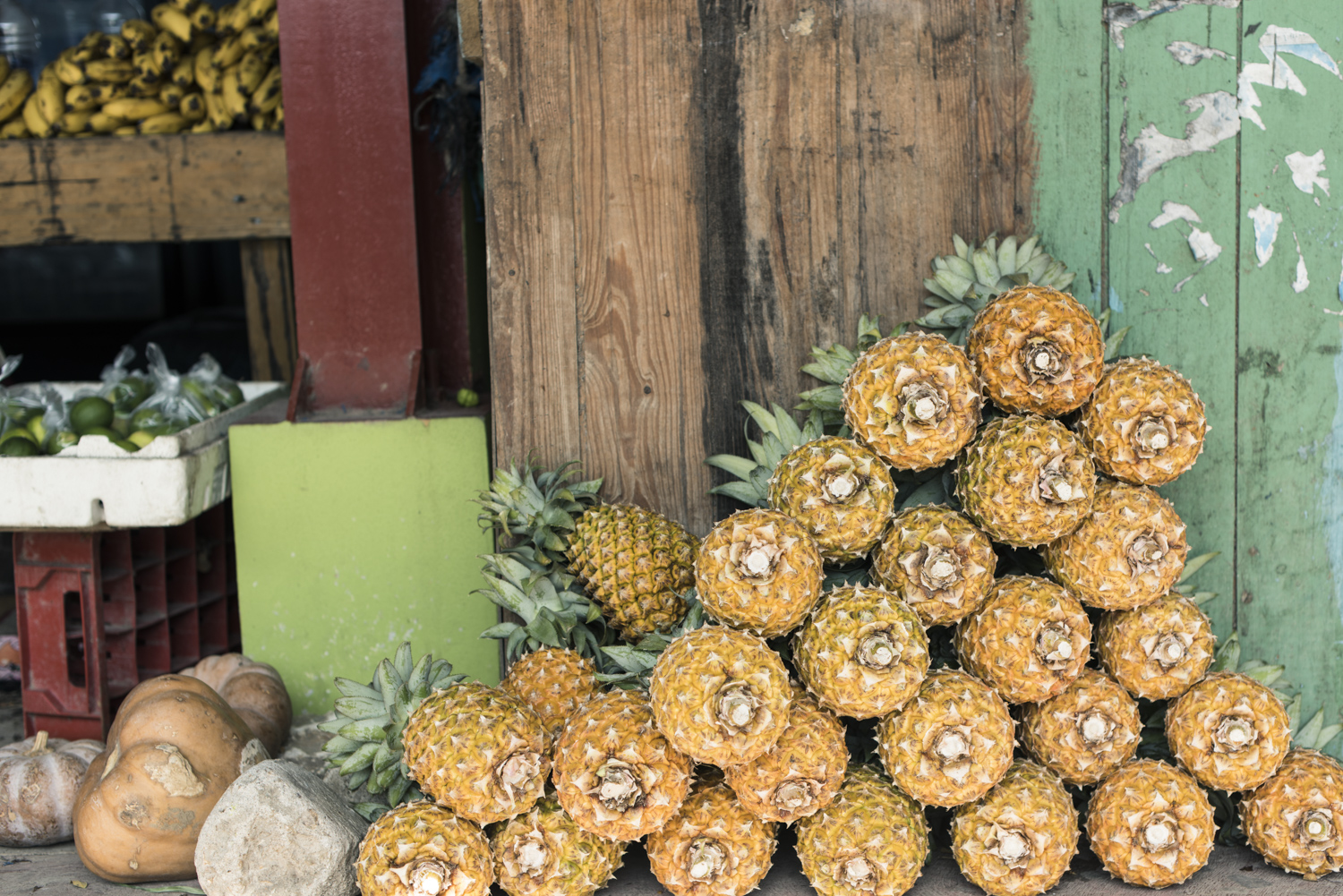 Alimentation durable au Belize 1