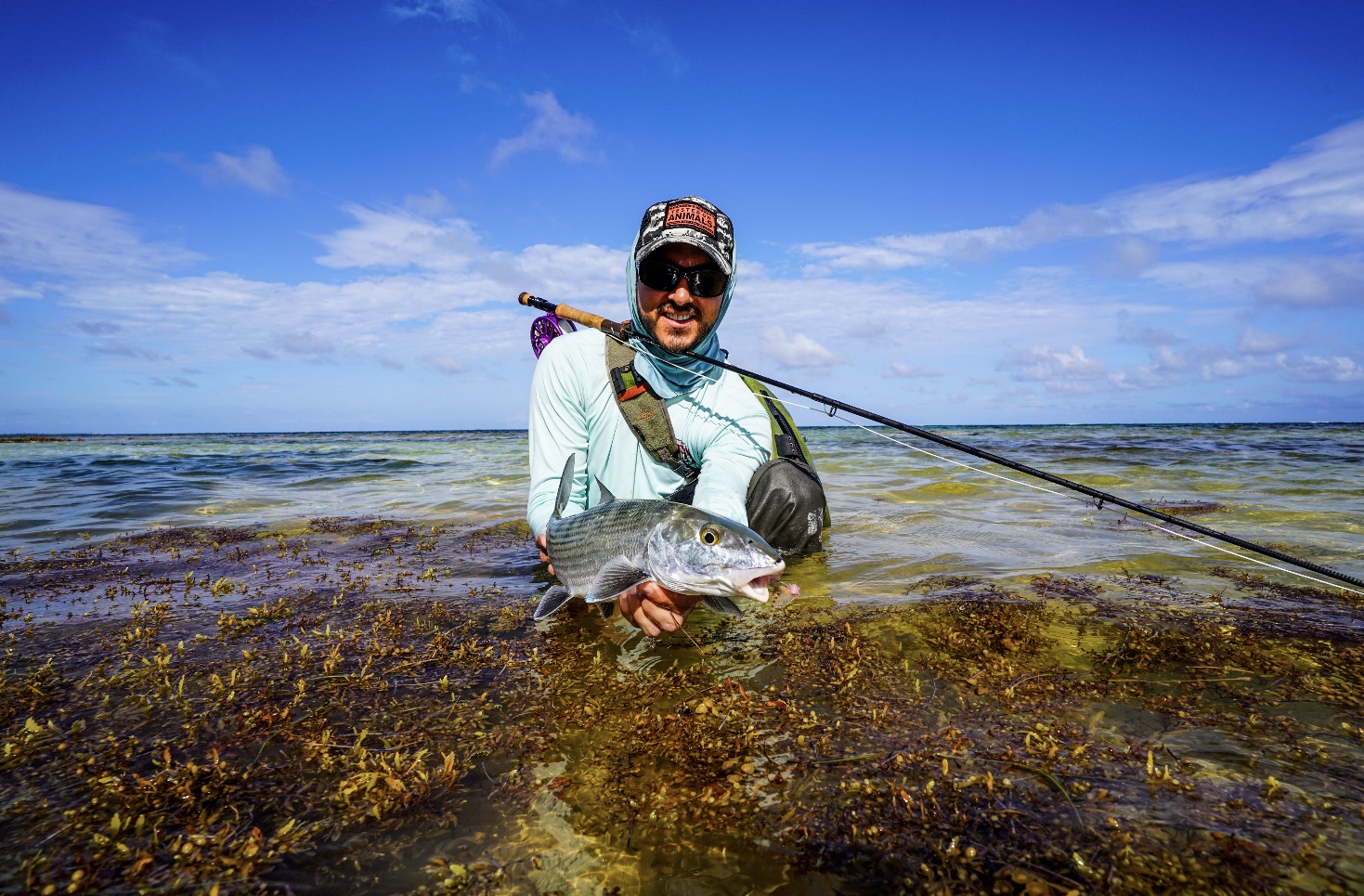 Pesca con mosca en Ambergris Caye, Belice | 0