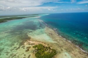 La barrière de corail du Belize retirée de la liste du patrimoine mondial en péril de l'UNESCO | 5