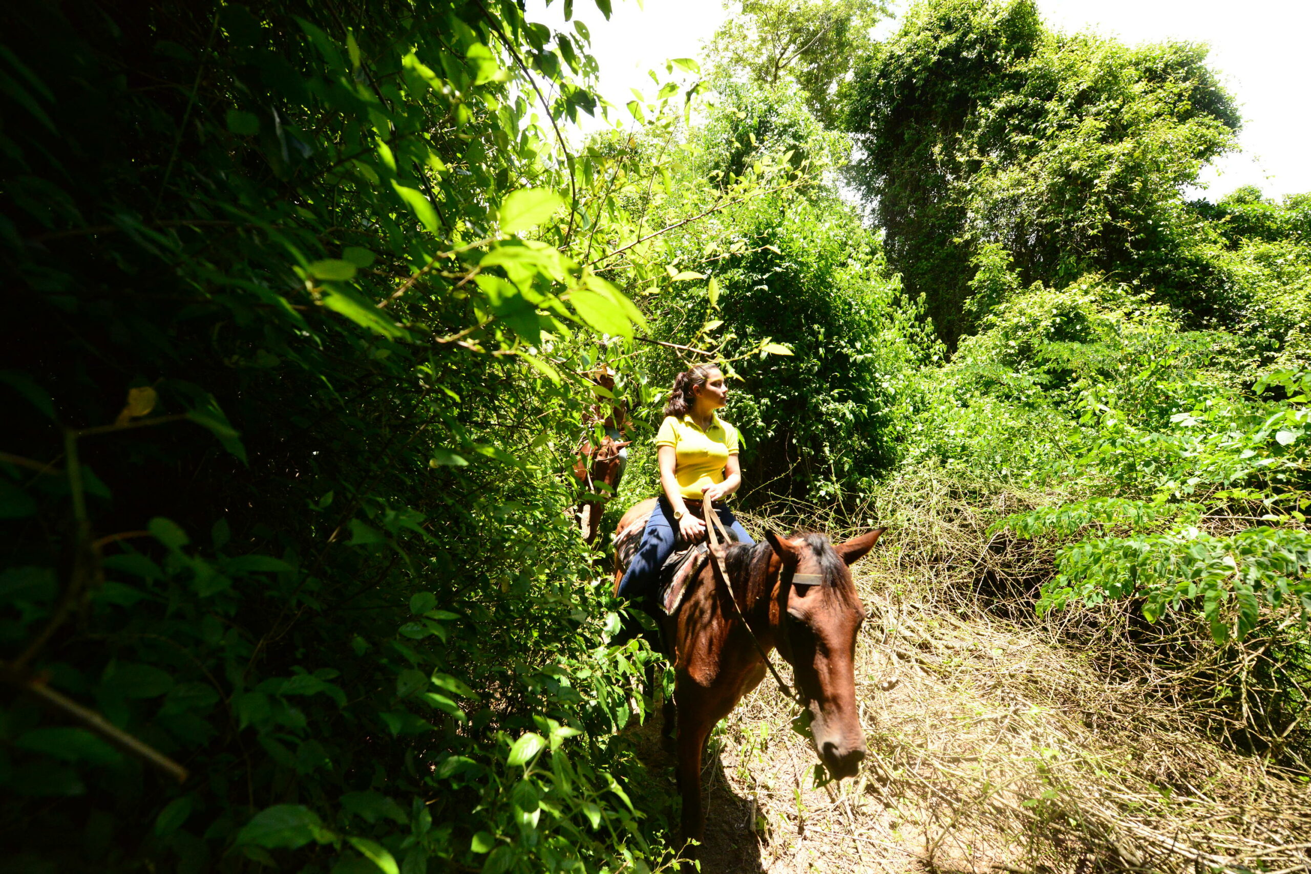 5 conseils pour votre premier voyage au Belize