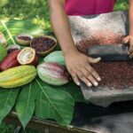 Traditional Mayan Chocolate Making
