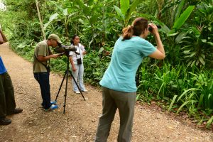 Observación de aves en Belice