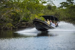 4 aventures sympas pour découvrir le Belize lors d'une escale de croisière : safari fluvial - Lamanai