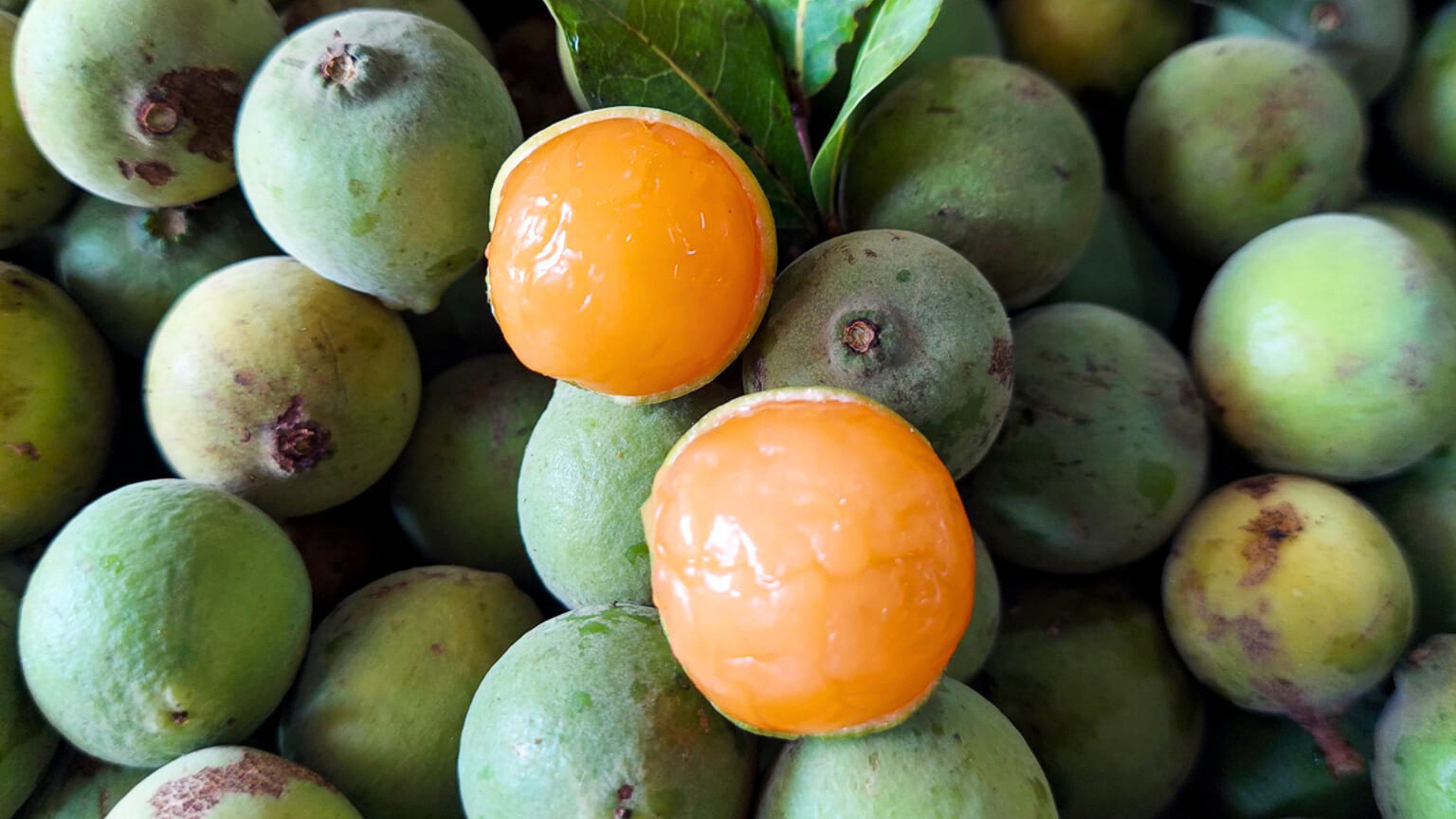 6 frutas locales para disfrutar durante el verano en Belice