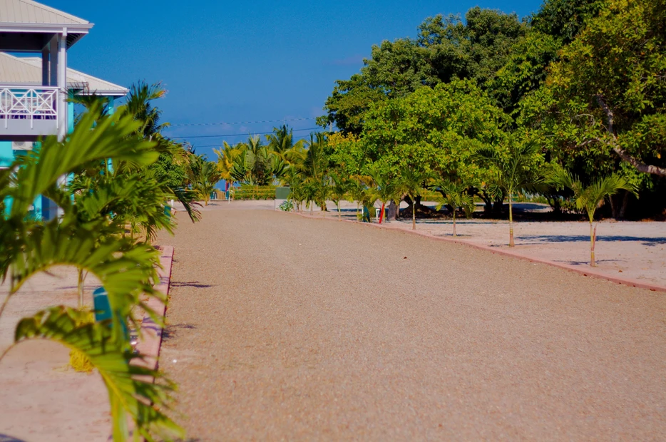 Hibiscus Beach Properties
