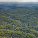 Parque Nacional de Chiquibul