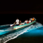 Bioluminescence Tour Belize