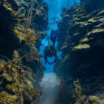 scuba diving in belize
