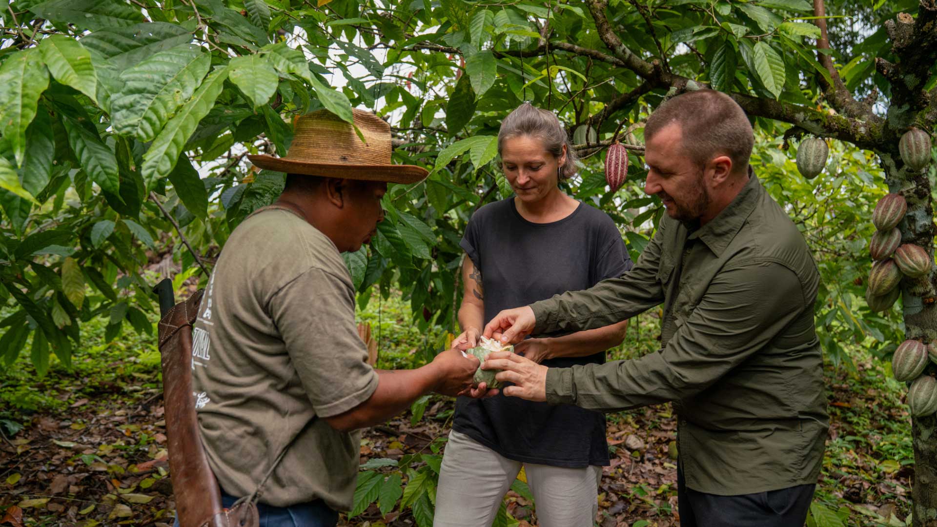 Como comemorar o Dia da Terra em Belize