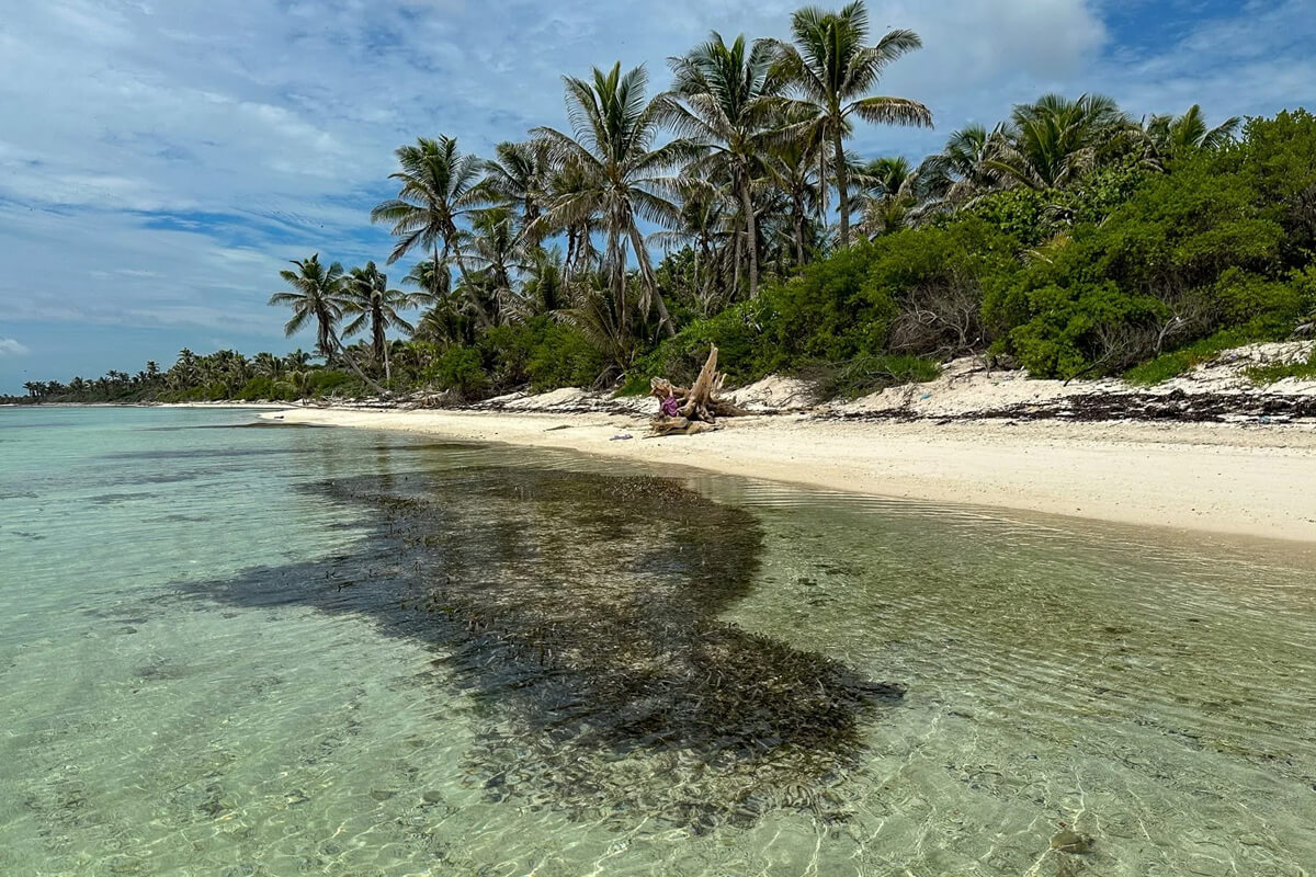 Rocky Point Permit Camp