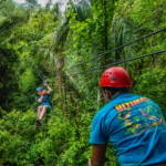 Zip-line Through the Treetops