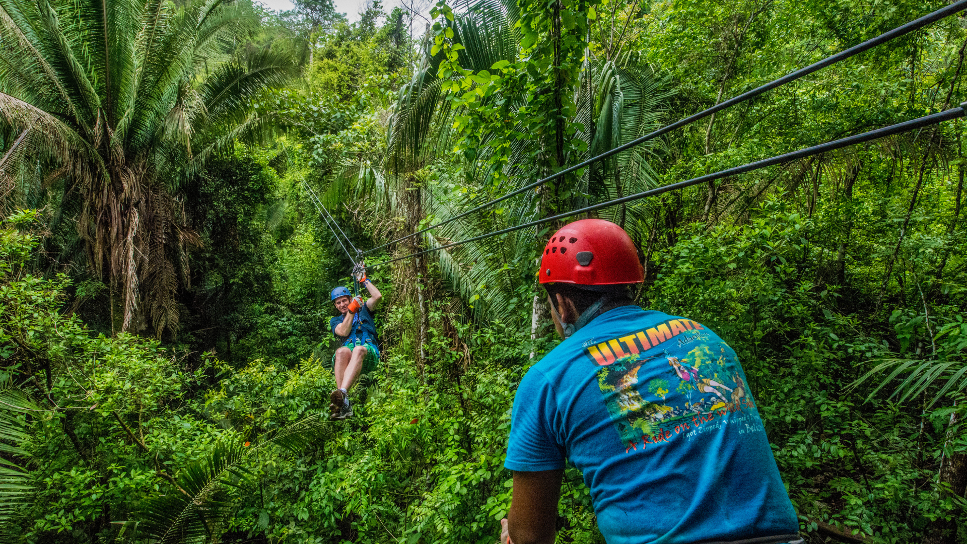 Zip-line Through the Treetops