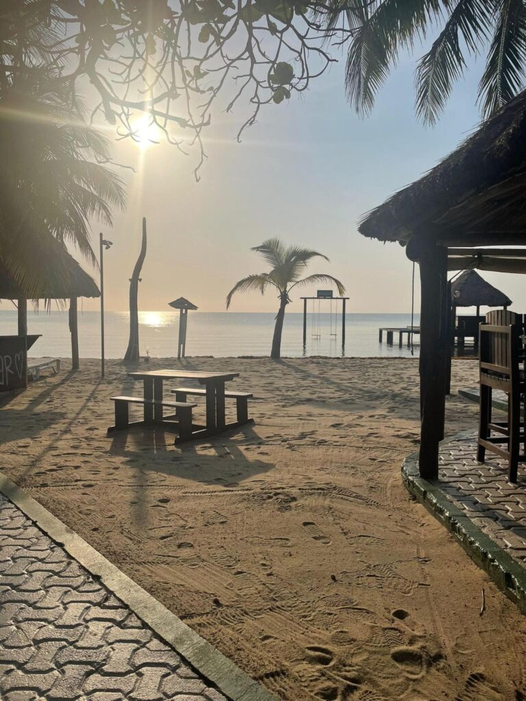 Green Parrot Beach Houses and Resort