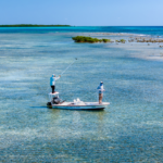 Fly-fishing at Turneffe Atoll