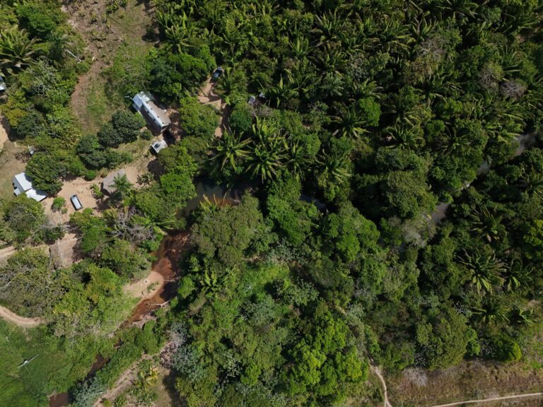 Freshwater Creek Cabanas