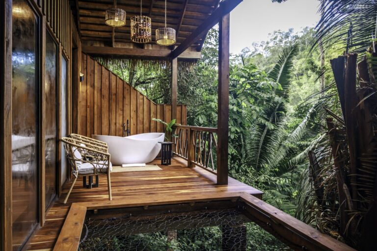 Sweet Songs Jungle Lodge